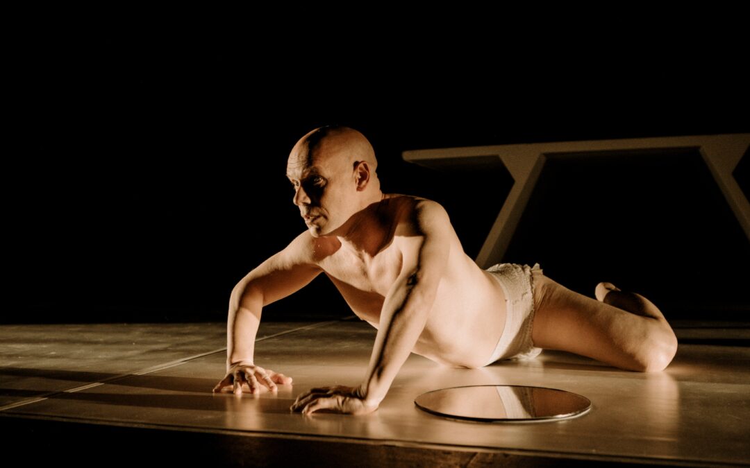 El alimento de las moscas