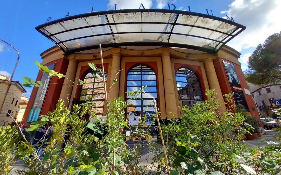 Presta una pianta al Palladium