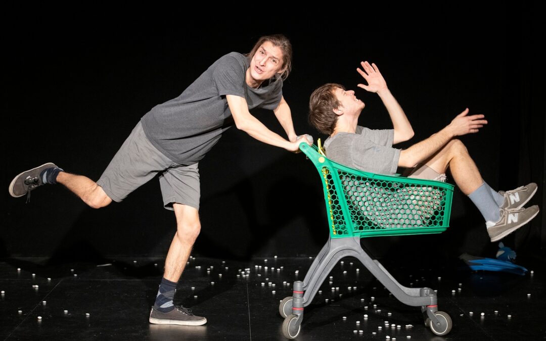 Apocalisse tascabile