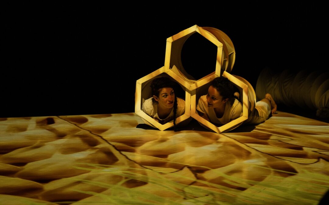 Tana | Supernova 2024