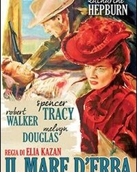 Il mare d’erba (The Sea of Grass)
