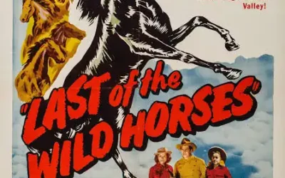 Sfida all’ultimo sangue (Last of the Wild Horses)