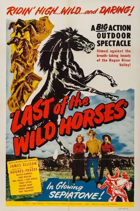 Sfida all’ultimo sangue (Last of the Wild Horses)