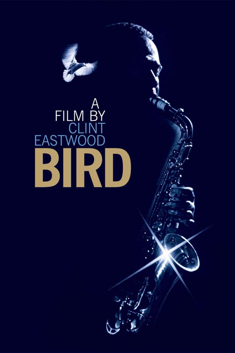 bird_copertina
